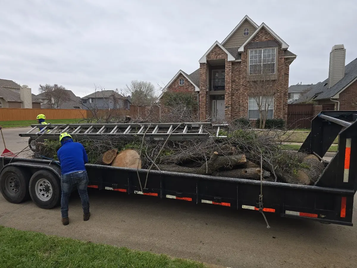 Expert Lot Clearing with proper safety equipment in Corinth